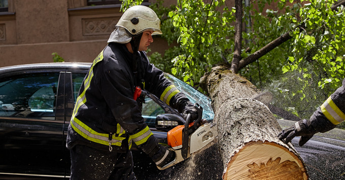 person in PPG using a chainsaw to cut up a fallen tree